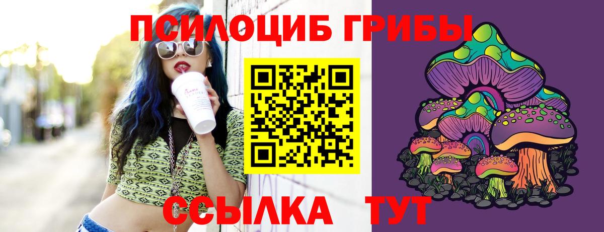Псилоцибиновые грибы Psilocybe Каспийск