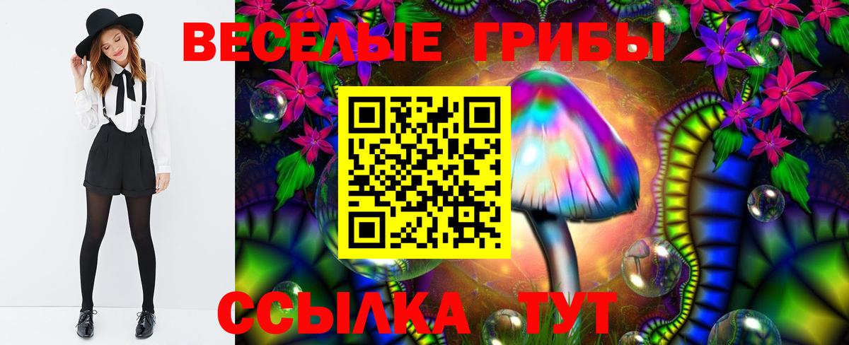 Псилоцибиновые грибы MAGIC MUSHROOMS  Вход с VPN  Каспийск  Галлюциногенные грибы Magic Shrooms 